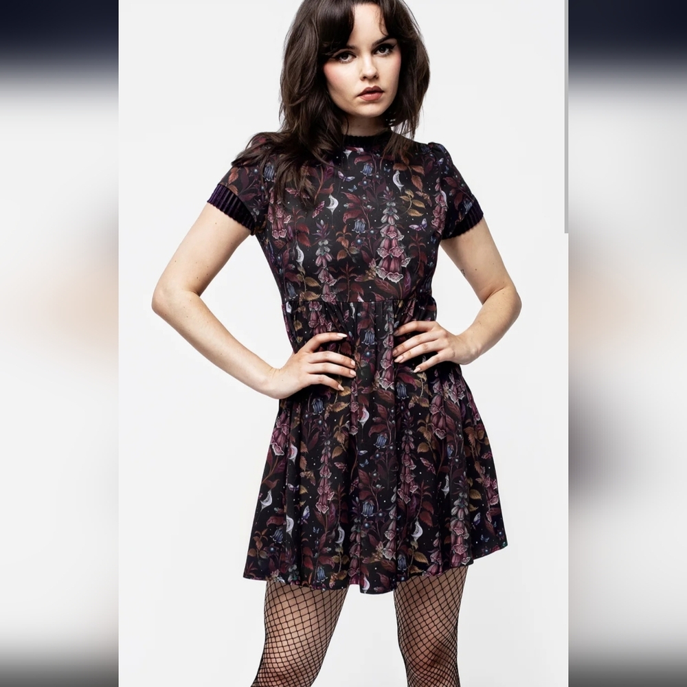 NWT Foxglove Mini Skater Dress